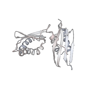 20058_6ogi_H_v1-2
70S termination complex with RF2 bound to the UAG codon. Rotated ribosome conformation (Structure V)