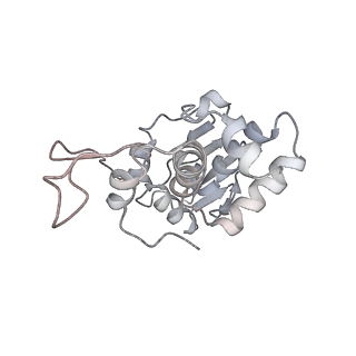 20058_6ogi_I_v1-1
70S termination complex with RF2 bound to the UAG codon. Rotated ribosome conformation (Structure V)