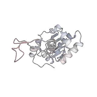 20058_6ogi_I_v1-2
70S termination complex with RF2 bound to the UAG codon. Rotated ribosome conformation (Structure V)