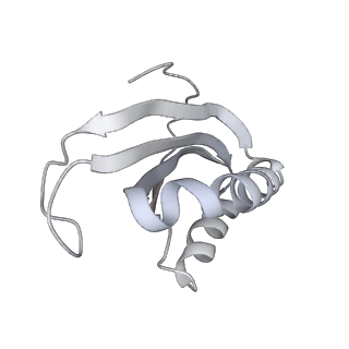 20058_6ogi_K_v1-1
70S termination complex with RF2 bound to the UAG codon. Rotated ribosome conformation (Structure V)