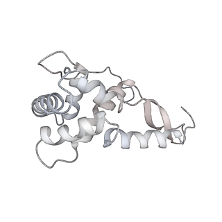 20058_6ogi_L_v1-1
70S termination complex with RF2 bound to the UAG codon. Rotated ribosome conformation (Structure V)