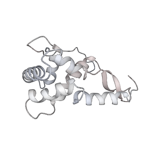 20058_6ogi_L_v1-2
70S termination complex with RF2 bound to the UAG codon. Rotated ribosome conformation (Structure V)