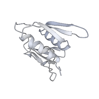 20058_6ogi_M_v1-1
70S termination complex with RF2 bound to the UAG codon. Rotated ribosome conformation (Structure V)