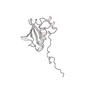 20058_6ogi_N_v1-1
70S termination complex with RF2 bound to the UAG codon. Rotated ribosome conformation (Structure V)