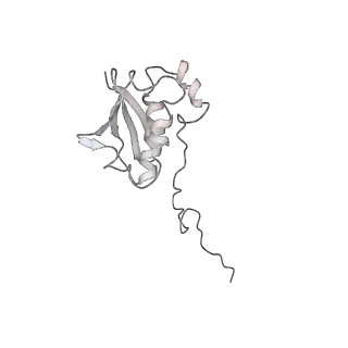 20058_6ogi_N_v1-2
70S termination complex with RF2 bound to the UAG codon. Rotated ribosome conformation (Structure V)