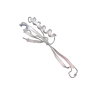 20058_6ogi_O_v1-2
70S termination complex with RF2 bound to the UAG codon. Rotated ribosome conformation (Structure V)