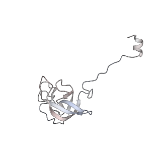 20058_6ogi_Q_v1-1
70S termination complex with RF2 bound to the UAG codon. Rotated ribosome conformation (Structure V)