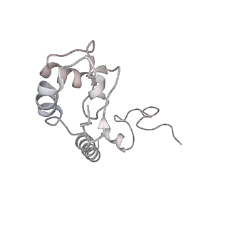 20058_6ogi_R_v1-1
70S termination complex with RF2 bound to the UAG codon. Rotated ribosome conformation (Structure V)