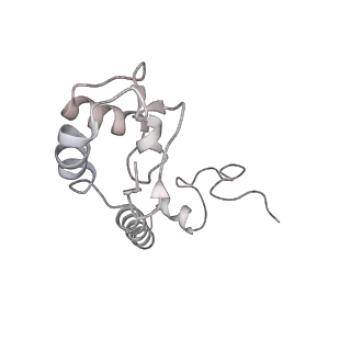 20058_6ogi_R_v1-2
70S termination complex with RF2 bound to the UAG codon. Rotated ribosome conformation (Structure V)