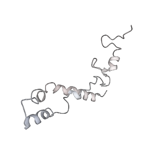 20058_6ogi_S_v1-1
70S termination complex with RF2 bound to the UAG codon. Rotated ribosome conformation (Structure V)