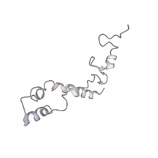 20058_6ogi_S_v1-2
70S termination complex with RF2 bound to the UAG codon. Rotated ribosome conformation (Structure V)