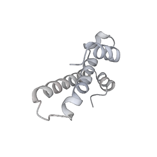 20058_6ogi_T_v1-1
70S termination complex with RF2 bound to the UAG codon. Rotated ribosome conformation (Structure V)