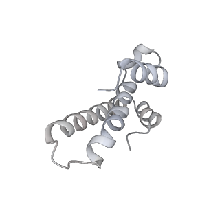 20058_6ogi_T_v1-2
70S termination complex with RF2 bound to the UAG codon. Rotated ribosome conformation (Structure V)