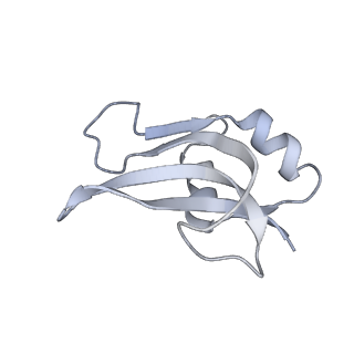 20058_6ogi_U_v1-1
70S termination complex with RF2 bound to the UAG codon. Rotated ribosome conformation (Structure V)