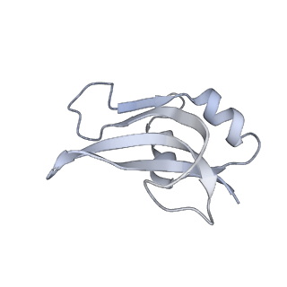 20058_6ogi_U_v1-2
70S termination complex with RF2 bound to the UAG codon. Rotated ribosome conformation (Structure V)