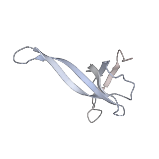 20058_6ogi_V_v1-2
70S termination complex with RF2 bound to the UAG codon. Rotated ribosome conformation (Structure V)