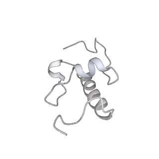 20058_6ogi_W_v1-1
70S termination complex with RF2 bound to the UAG codon. Rotated ribosome conformation (Structure V)