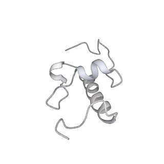 20058_6ogi_W_v1-2
70S termination complex with RF2 bound to the UAG codon. Rotated ribosome conformation (Structure V)