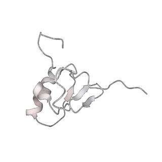 20058_6ogi_X_v1-1
70S termination complex with RF2 bound to the UAG codon. Rotated ribosome conformation (Structure V)
