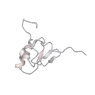 20058_6ogi_X_v1-2
70S termination complex with RF2 bound to the UAG codon. Rotated ribosome conformation (Structure V)