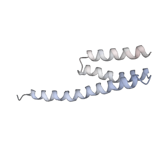 20058_6ogi_Y_v1-1
70S termination complex with RF2 bound to the UAG codon. Rotated ribosome conformation (Structure V)