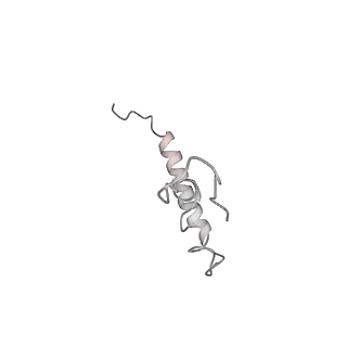 20058_6ogi_Z_v1-2
70S termination complex with RF2 bound to the UAG codon. Rotated ribosome conformation (Structure V)