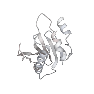 20058_6ogi_a_v1-1
70S termination complex with RF2 bound to the UAG codon. Rotated ribosome conformation (Structure V)