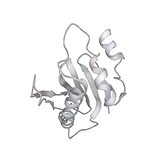 20058_6ogi_a_v1-2
70S termination complex with RF2 bound to the UAG codon. Rotated ribosome conformation (Structure V)