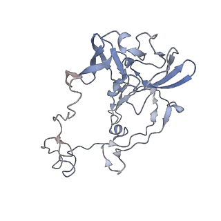 20058_6ogi_b_v1-1
70S termination complex with RF2 bound to the UAG codon. Rotated ribosome conformation (Structure V)