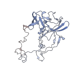 20058_6ogi_b_v1-2
70S termination complex with RF2 bound to the UAG codon. Rotated ribosome conformation (Structure V)