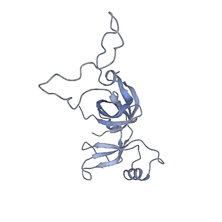 20058_6ogi_c_v1-2
70S termination complex with RF2 bound to the UAG codon. Rotated ribosome conformation (Structure V)