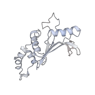 20058_6ogi_e_v1-1
70S termination complex with RF2 bound to the UAG codon. Rotated ribosome conformation (Structure V)