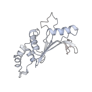 20058_6ogi_e_v1-2
70S termination complex with RF2 bound to the UAG codon. Rotated ribosome conformation (Structure V)