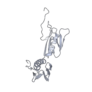 20058_6ogi_f_v1-1
70S termination complex with RF2 bound to the UAG codon. Rotated ribosome conformation (Structure V)