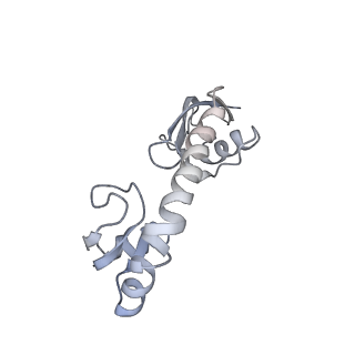20058_6ogi_g_v1-1
70S termination complex with RF2 bound to the UAG codon. Rotated ribosome conformation (Structure V)