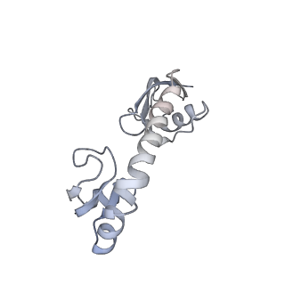 20058_6ogi_g_v1-2
70S termination complex with RF2 bound to the UAG codon. Rotated ribosome conformation (Structure V)