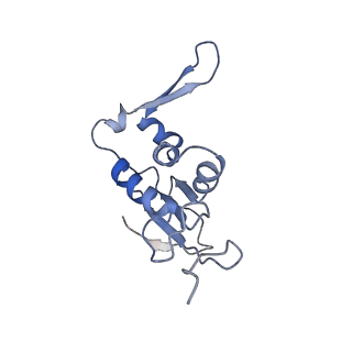 20058_6ogi_j_v1-1
70S termination complex with RF2 bound to the UAG codon. Rotated ribosome conformation (Structure V)