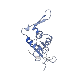 20058_6ogi_j_v1-2
70S termination complex with RF2 bound to the UAG codon. Rotated ribosome conformation (Structure V)