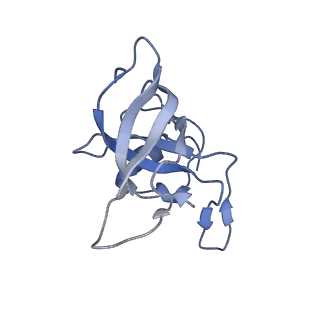 20058_6ogi_k_v1-1
70S termination complex with RF2 bound to the UAG codon. Rotated ribosome conformation (Structure V)
