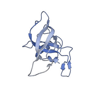 20058_6ogi_k_v1-2
70S termination complex with RF2 bound to the UAG codon. Rotated ribosome conformation (Structure V)