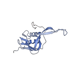 20058_6ogi_m_v1-1
70S termination complex with RF2 bound to the UAG codon. Rotated ribosome conformation (Structure V)
