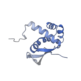 20058_6ogi_n_v1-1
70S termination complex with RF2 bound to the UAG codon. Rotated ribosome conformation (Structure V)