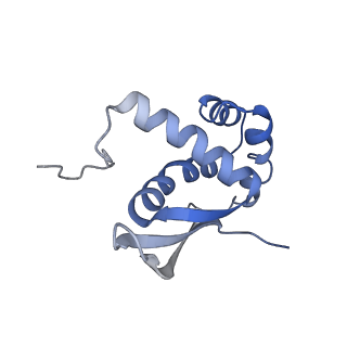 20058_6ogi_n_v1-2
70S termination complex with RF2 bound to the UAG codon. Rotated ribosome conformation (Structure V)