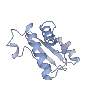 20058_6ogi_o_v1-1
70S termination complex with RF2 bound to the UAG codon. Rotated ribosome conformation (Structure V)