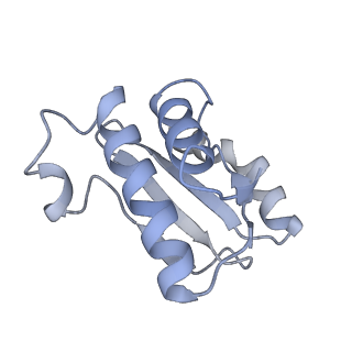 20058_6ogi_o_v1-2
70S termination complex with RF2 bound to the UAG codon. Rotated ribosome conformation (Structure V)