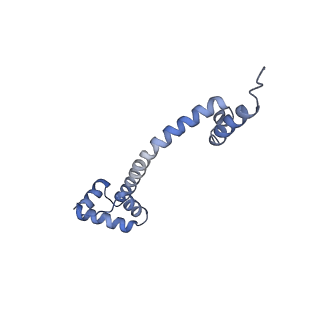 20058_6ogi_q_v1-1
70S termination complex with RF2 bound to the UAG codon. Rotated ribosome conformation (Structure V)