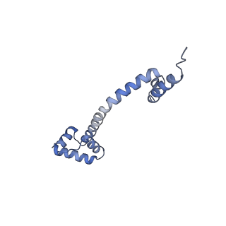 20058_6ogi_q_v1-2
70S termination complex with RF2 bound to the UAG codon. Rotated ribosome conformation (Structure V)