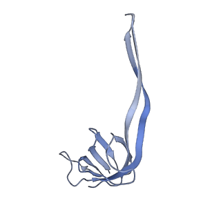 20058_6ogi_r_v1-1
70S termination complex with RF2 bound to the UAG codon. Rotated ribosome conformation (Structure V)