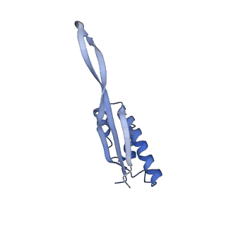 20058_6ogi_s_v1-2
70S termination complex with RF2 bound to the UAG codon. Rotated ribosome conformation (Structure V)