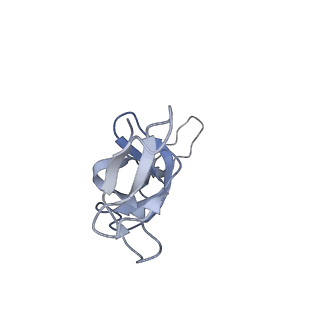 20058_6ogi_u_v1-1
70S termination complex with RF2 bound to the UAG codon. Rotated ribosome conformation (Structure V)